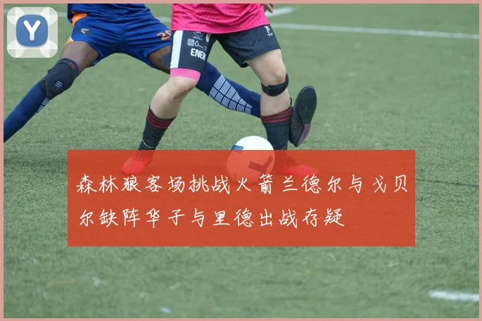 森林狼客场挑战火箭兰德尔与戈贝尔缺阵华子与里德出战存疑